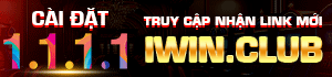 1.1.1.1 iwin